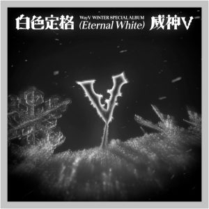 WayV 白色定格 Eternal White Winter Special Album with Tracking Sealed (Full Set : 2Photobook+5Package+5SMini)