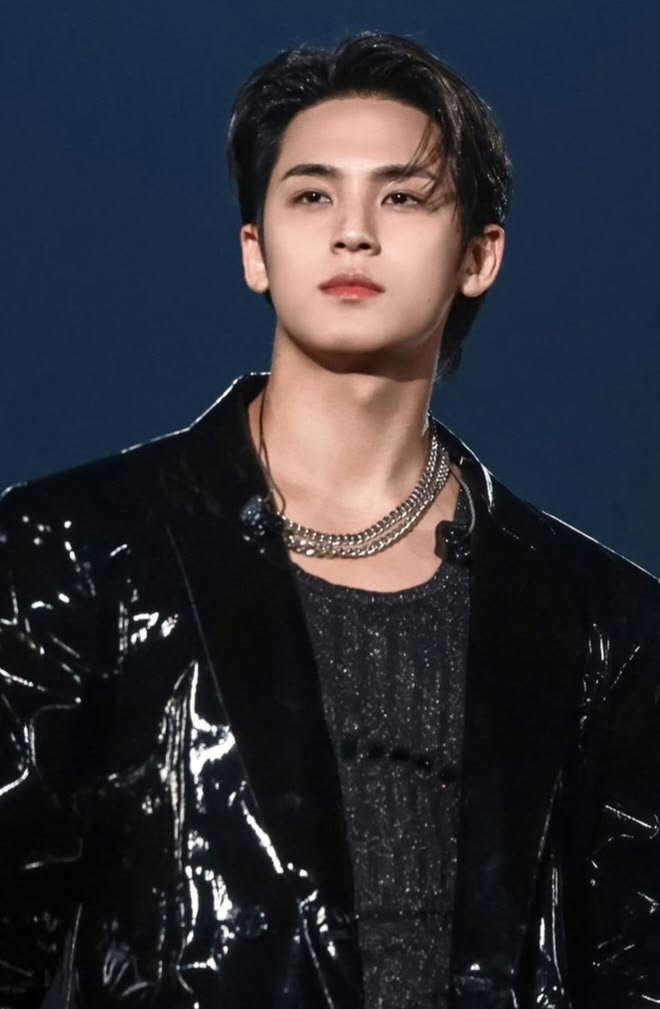 Mingyu (민규)