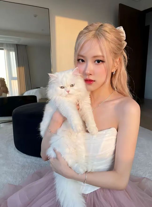 Rosé