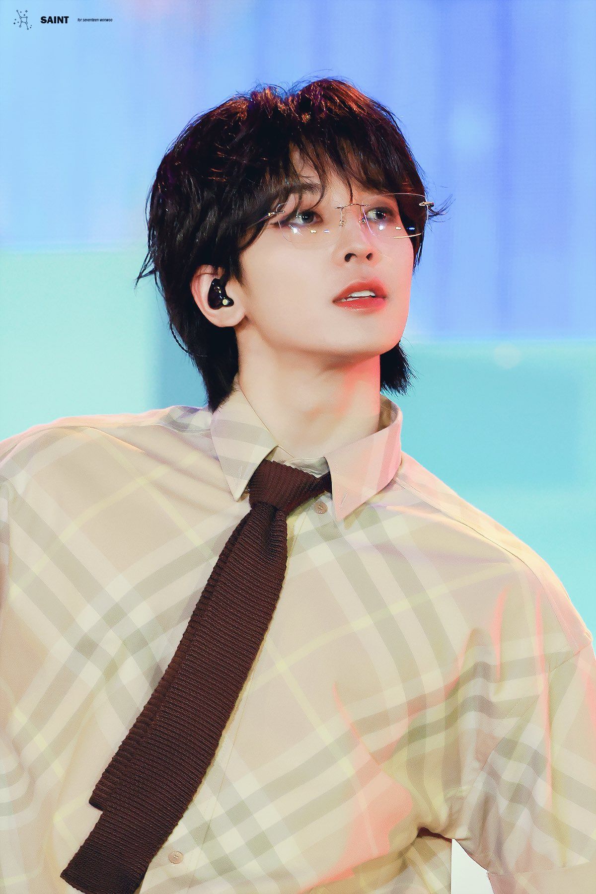 Wonwoo (원우)