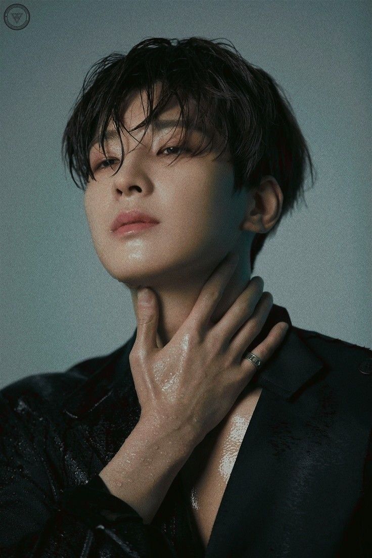 Wonwoo (원우)