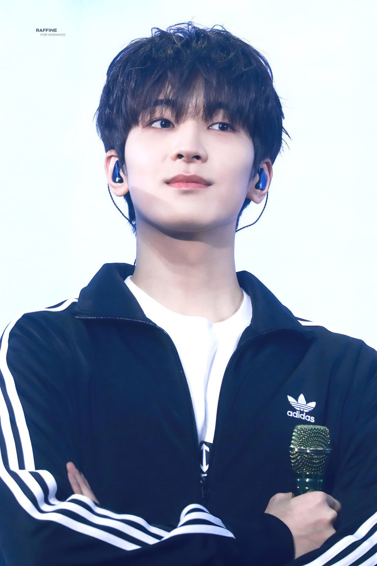 Wonwoo (원우)