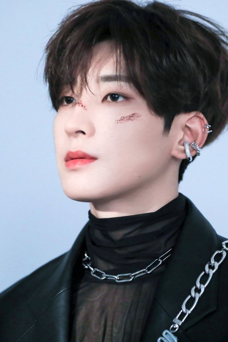 Wonwoo (원우)