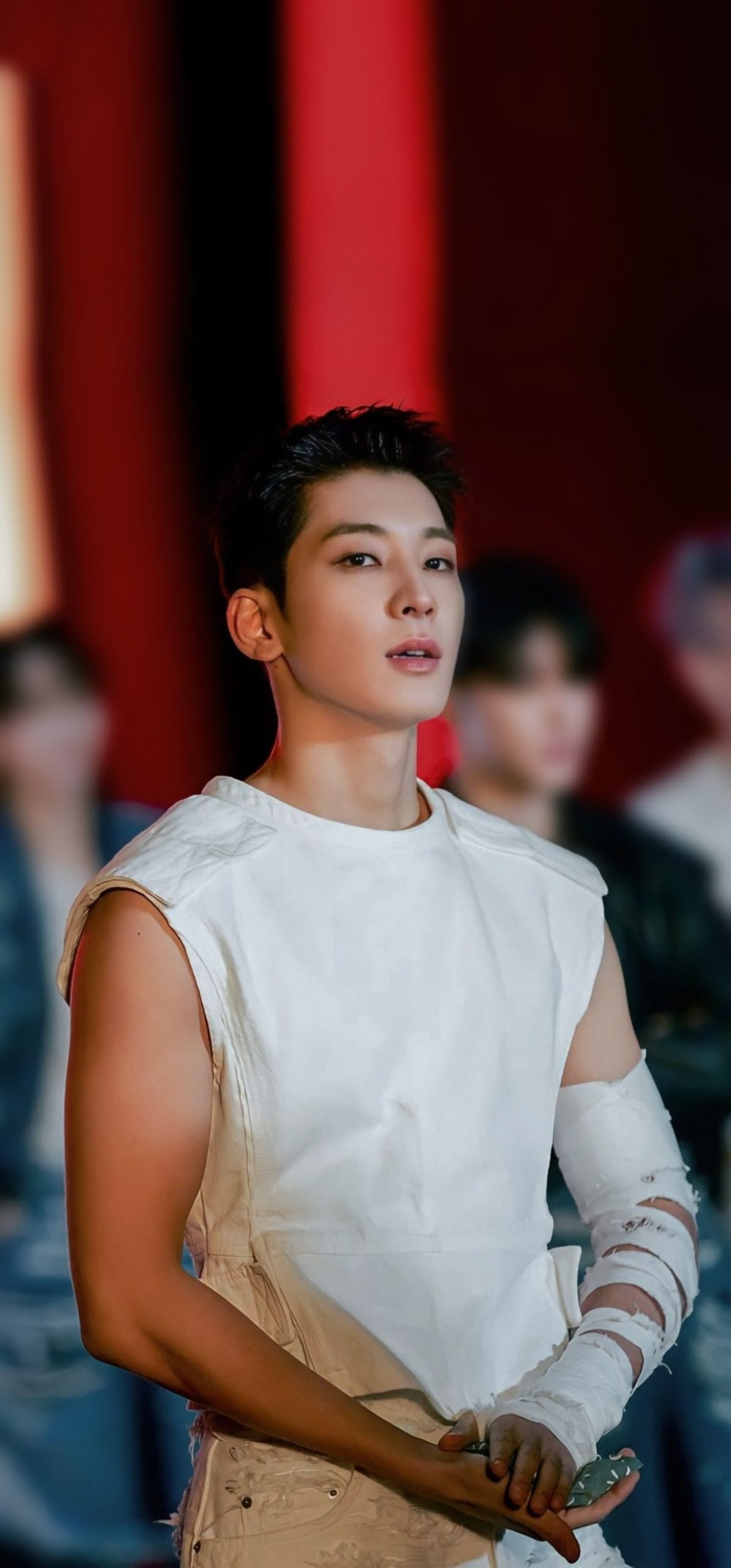 Wonwoo (원우)