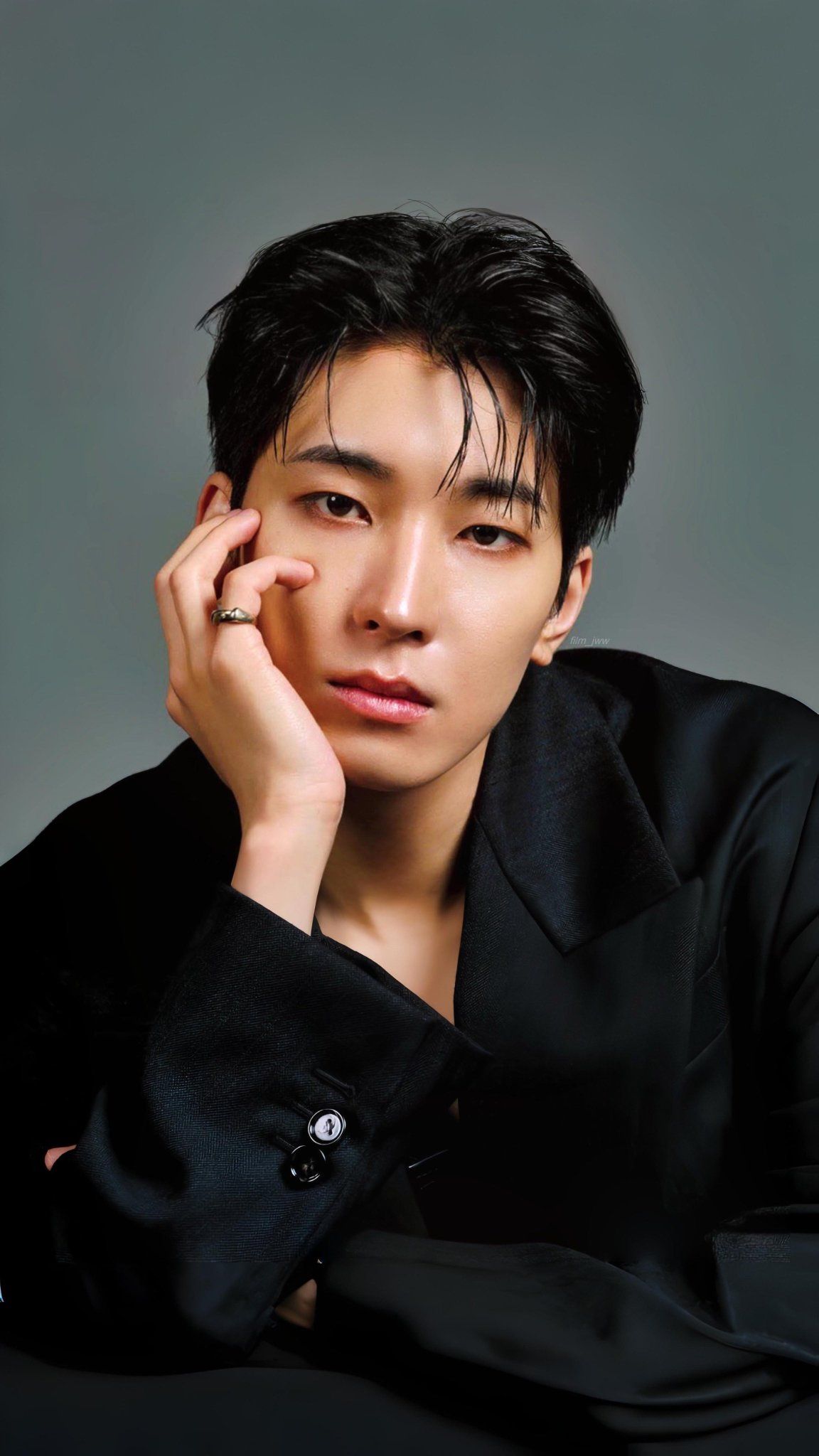 Wonwoo (원우)