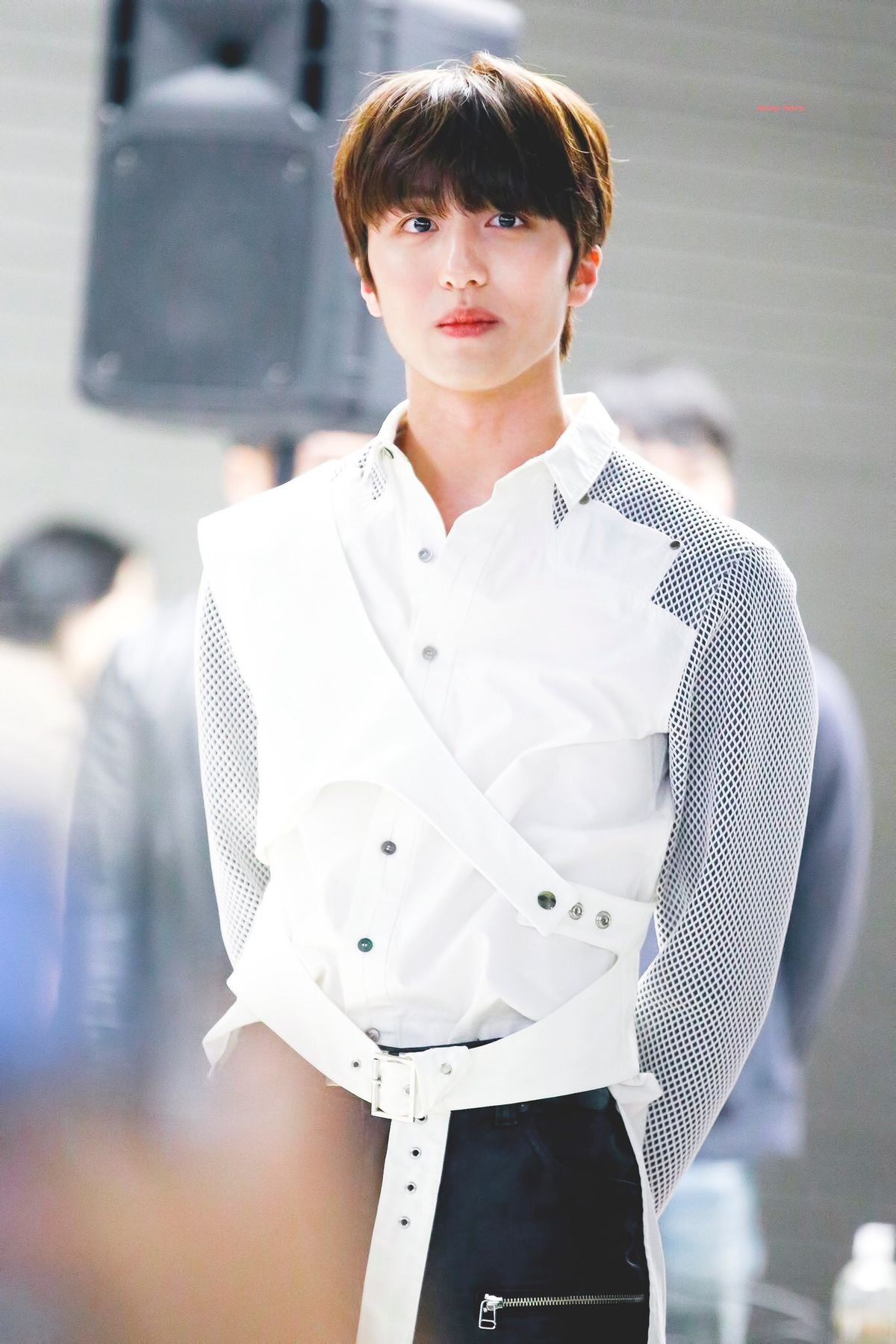 Chani