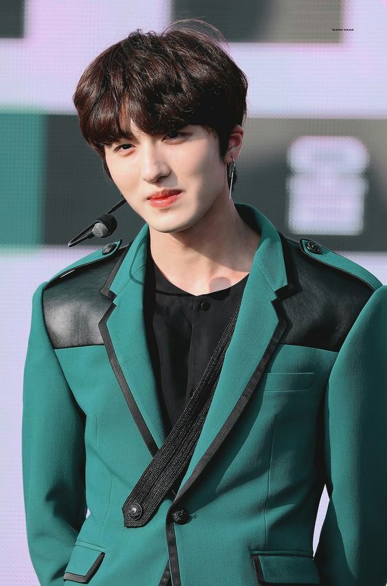 Chani