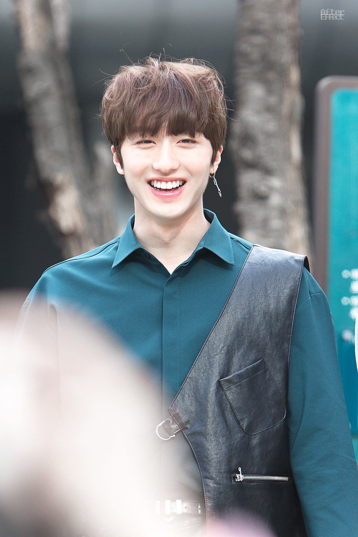 Chani