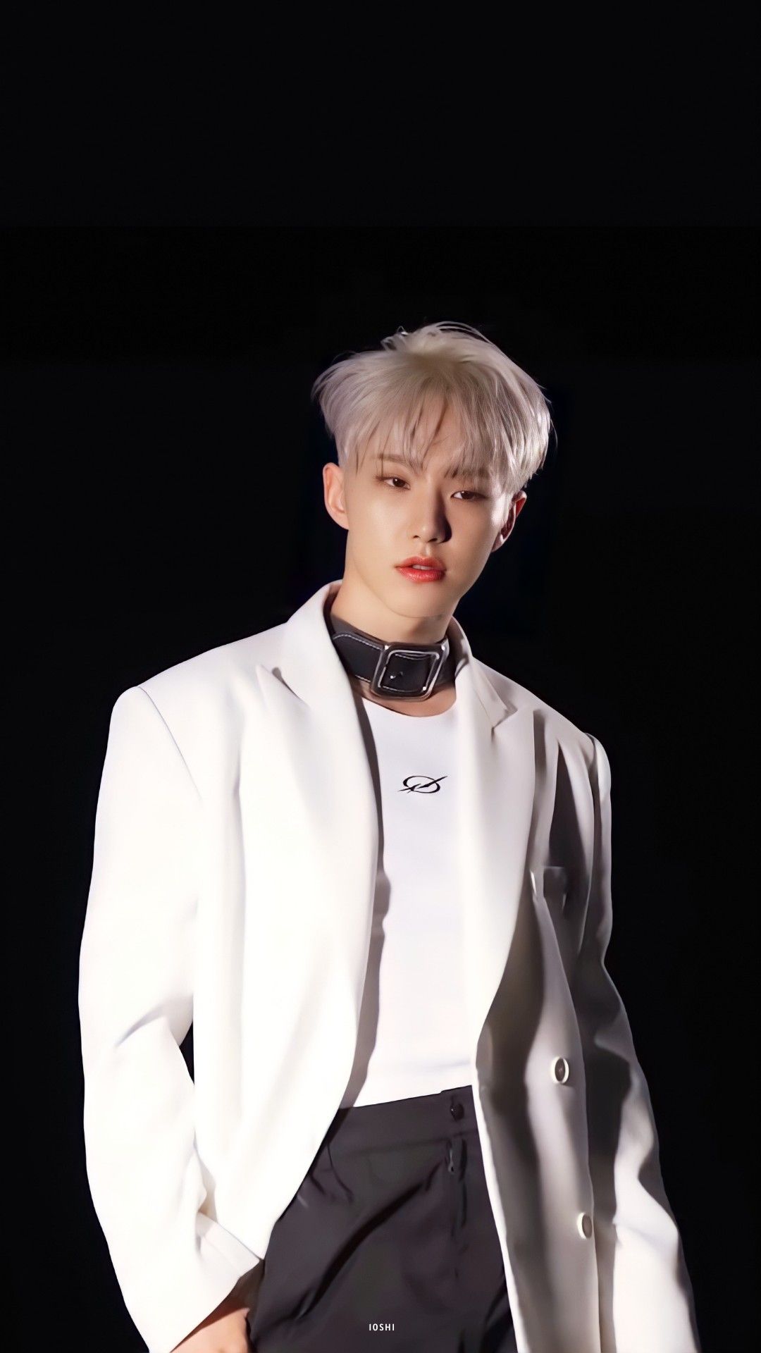 HOSHI (호시)