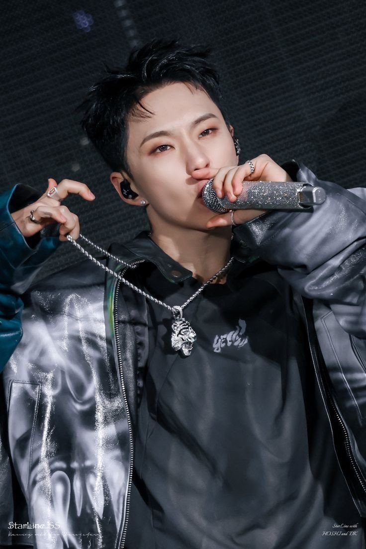 Hoshi